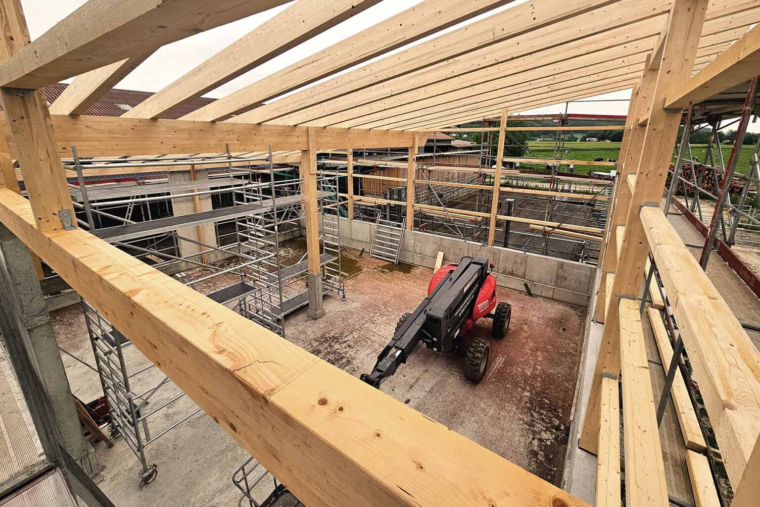 Hallenbau aus Holz